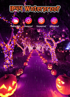 Halloween String Lights - 100 LED, 39FT, USB Powered, Purple & Orange