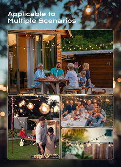 G40 5W 120V Globe Incandescent Glass Bulbs