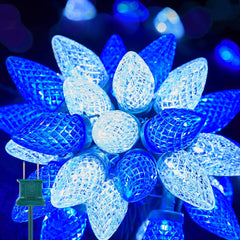 C9 LED Christmas String Lights, 66ft 100 LED Waterproof Strawberry String Lights, Plug-in Extendable Green Wire Lights, Blue and White