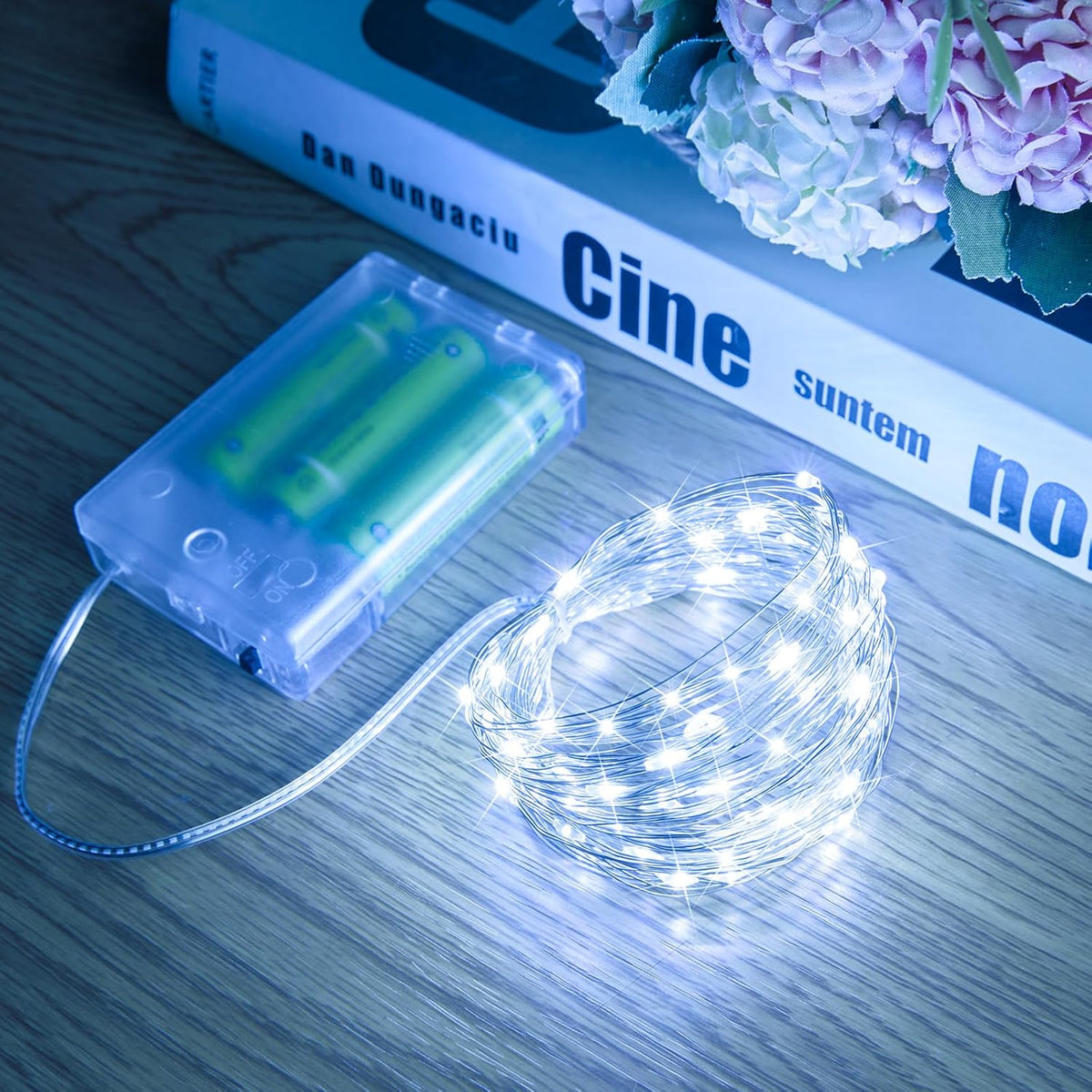 Battery Operated Fairy Lights - 33FT 100 LED Variants
