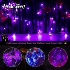 2Pack 17.8Ft 50 LED Battery Operated Clear Mini Incandescent Bulbs String Light for Halloween, Purple
