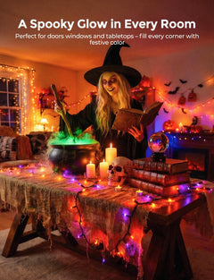 40Ft Plug in Mini Bulbs String Light for Halloween Haunted House Party, Orange & Purple