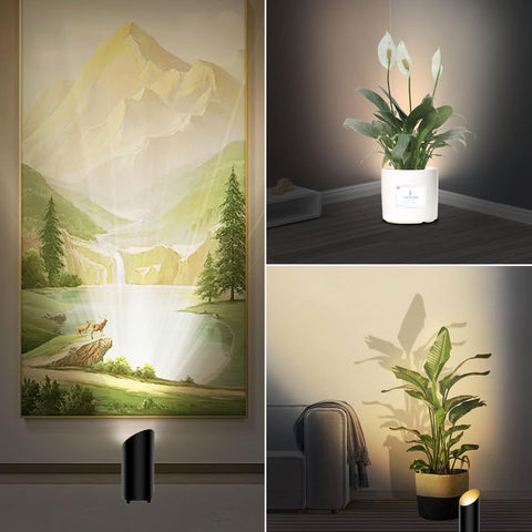 uplight for indoor plants Brightown LED Floor Can Lights