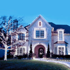 C9 LED Christmas Lights 66FT 100 Strawberry Bulbs with Spring Clips, Waterproof