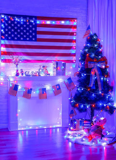 Independence Day 8ft Battery Operated String Lights, 20 Red White Blue LEDs, Timer