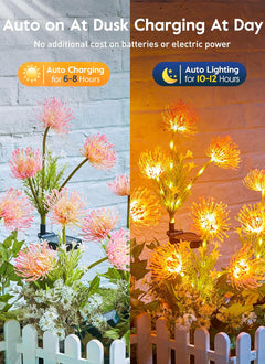 Pink Solar Flower Lights - 4 Pack LED Outdoor Garden Lights