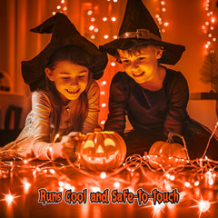 12 Pack Fairy Lights - Silver Wire, Battery Operated