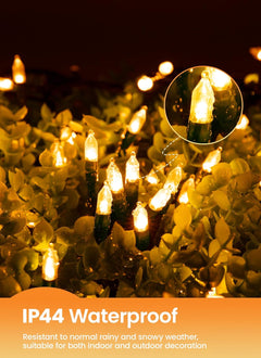 2 Pack 39FT LED Christmas Mini Lights with 100 Clear Bulbs, Warm White