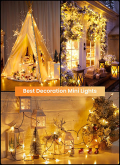 2 Pack 39FT LED Christmas Mini Lights with 100 Clear Bulbs, Warm White