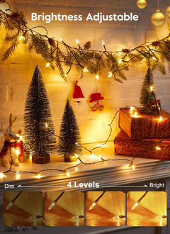 39FT LED Christmas Mini String Lights with Remote, USB Operated