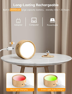 Wall Sconce Lights with Remote, USB Rechargeable, Magnetic