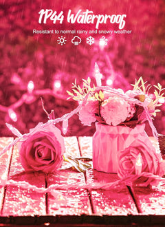 Pink Christmas String Lights - 50 Incandescent Bulbs