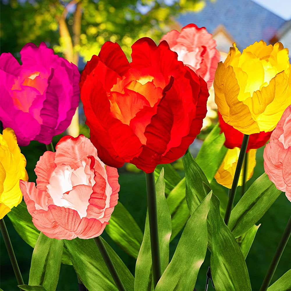1 x 4 Pack / Tulip / LED