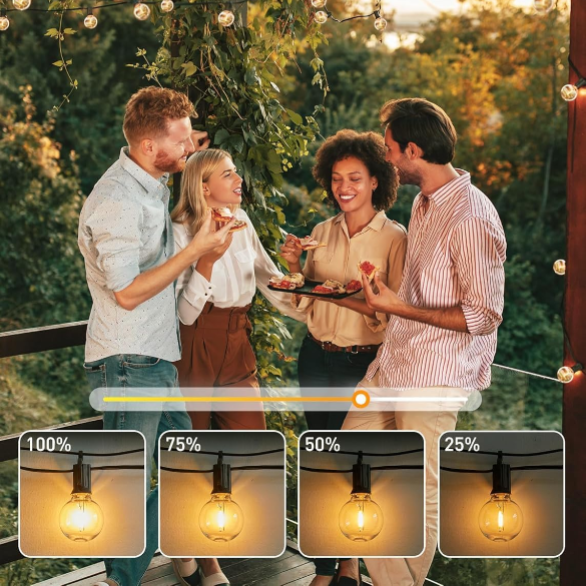 Updated Energy Efficient 30FT Outdoor String Lights - 15 G40 Bulbs