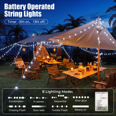 21FT 60 LED Battery Operated Globe Fairy Lights for Christmas Decor, 8 Modes, Cool White