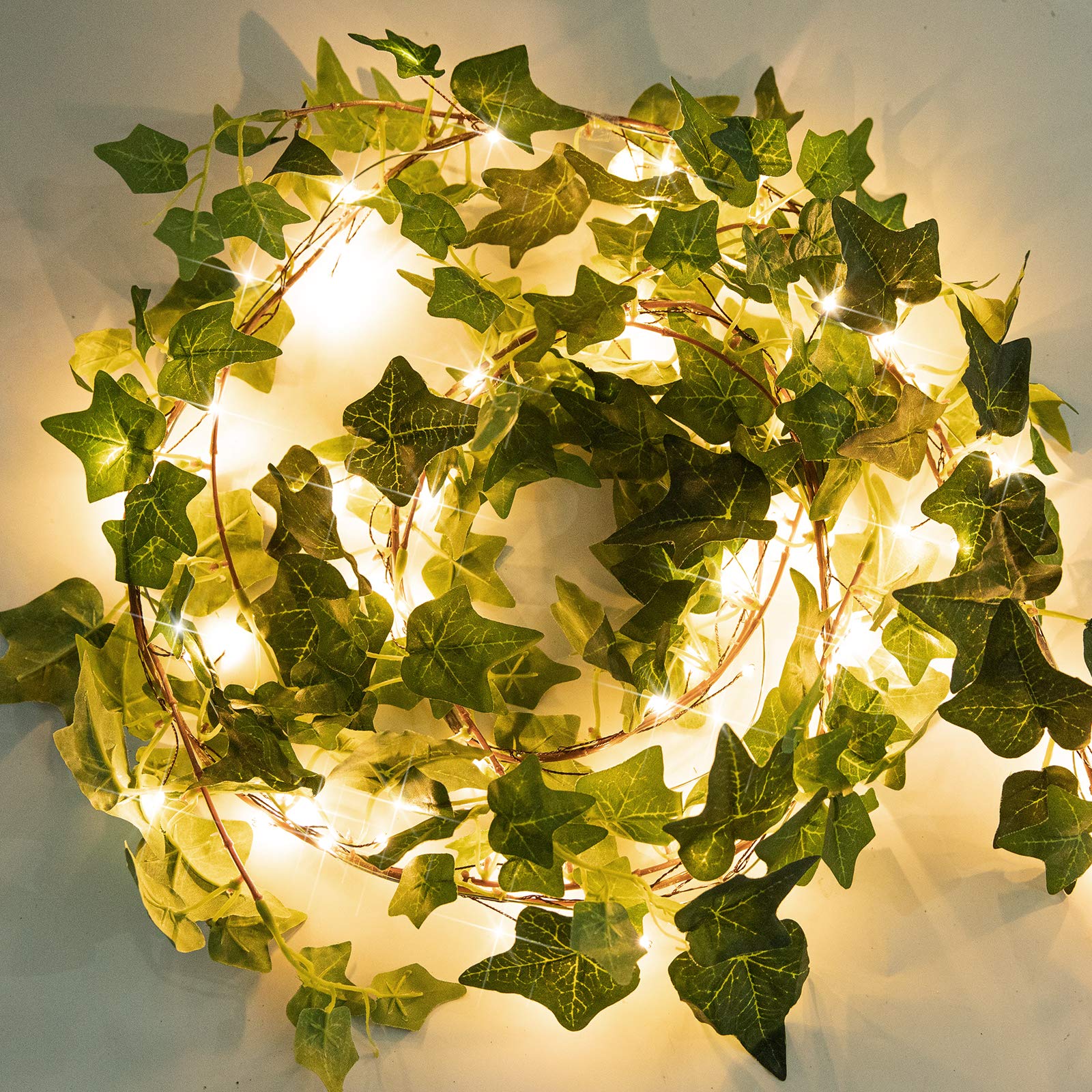 2 x 6 feet / 72 LED / Warm White