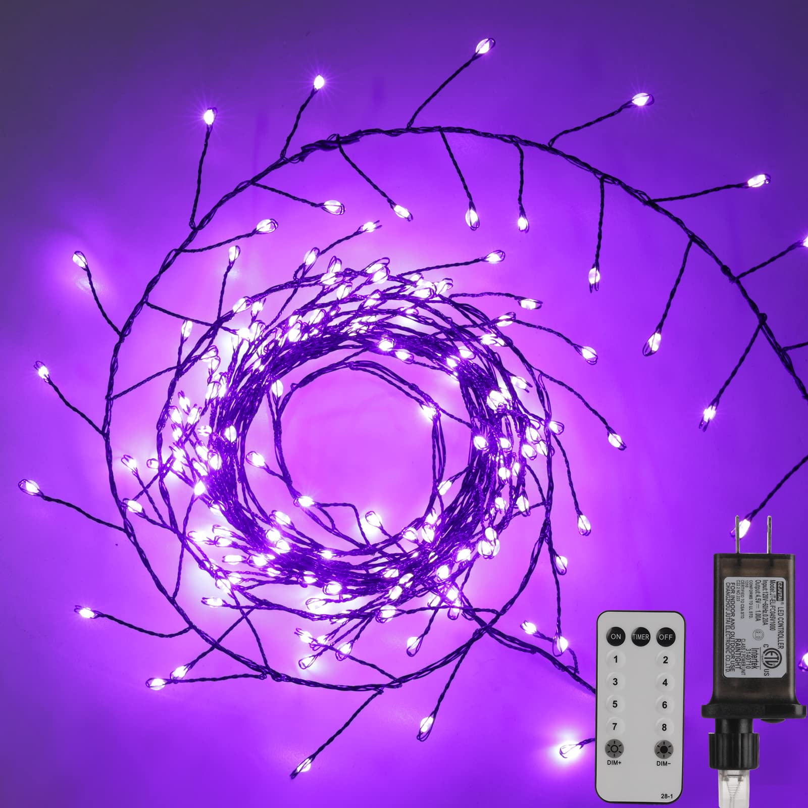 1 x 10 Feet / 200 LED / Purple / Black Wire