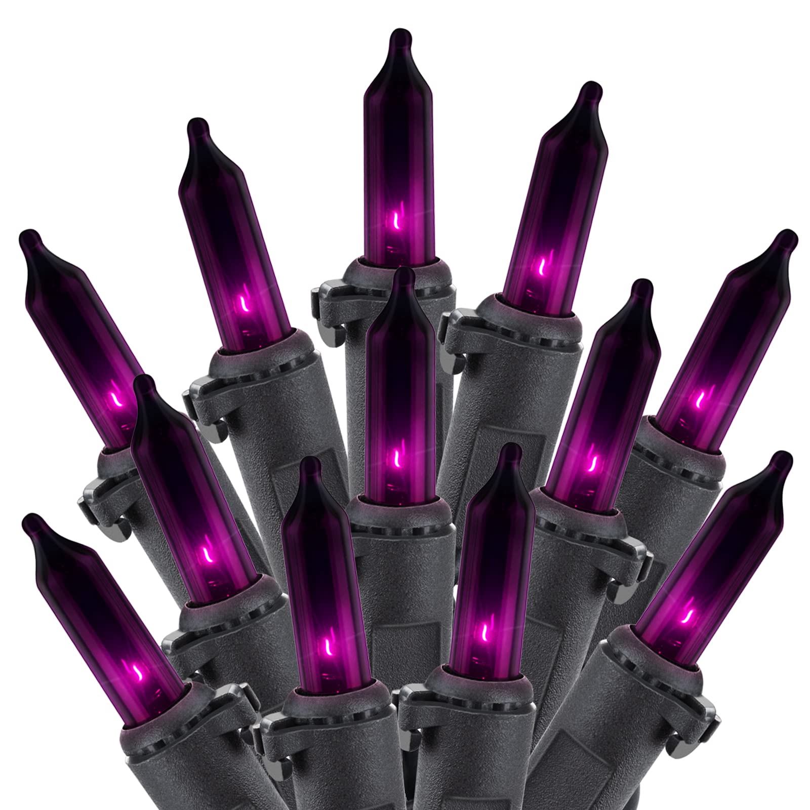 2 x 25 Feet / 100 Bulbs / Clear Purple