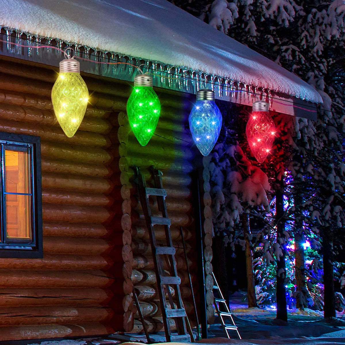 12 Feet / 10 LED