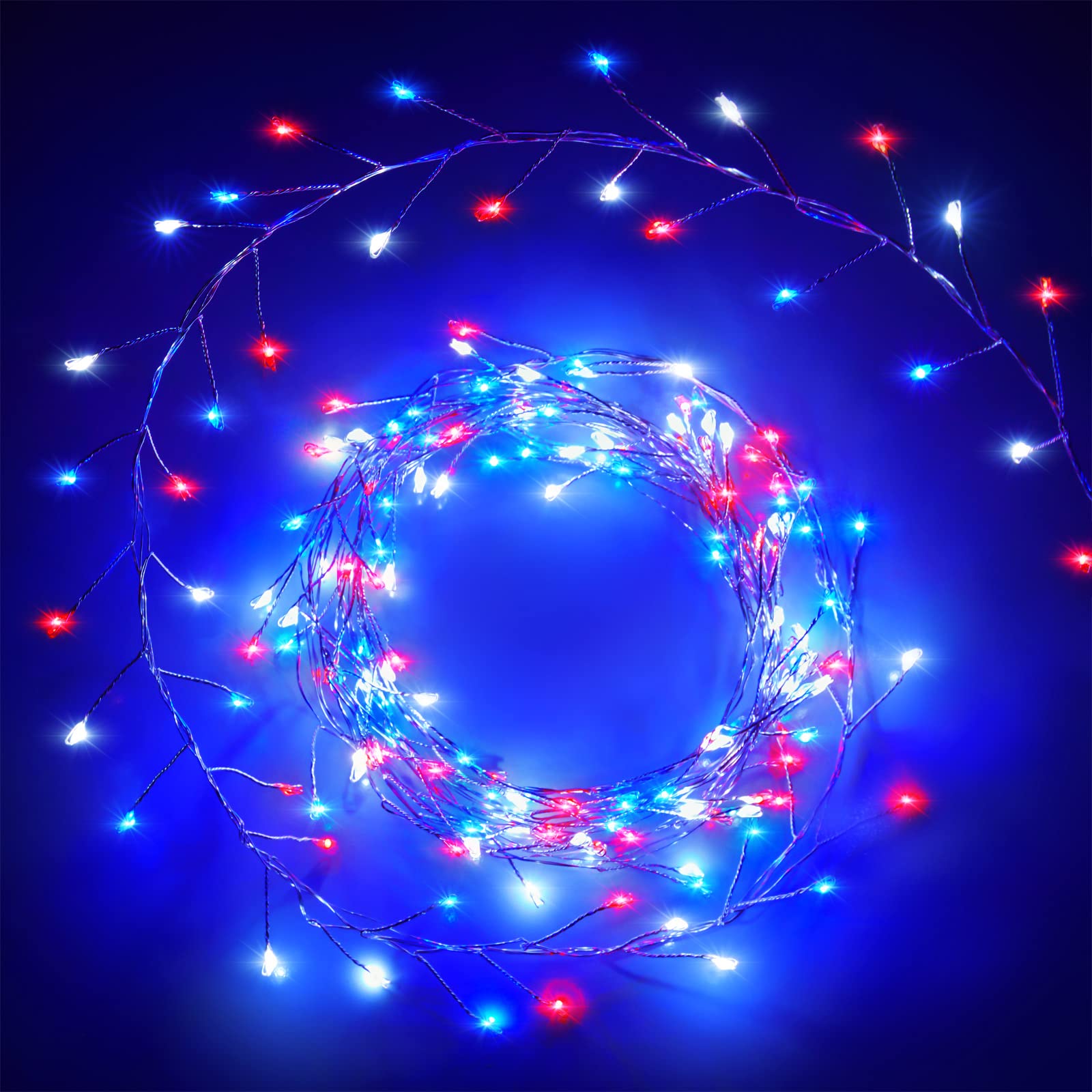 1 x 10 Feet / 200 LED / Red White Blue / Silver Wire