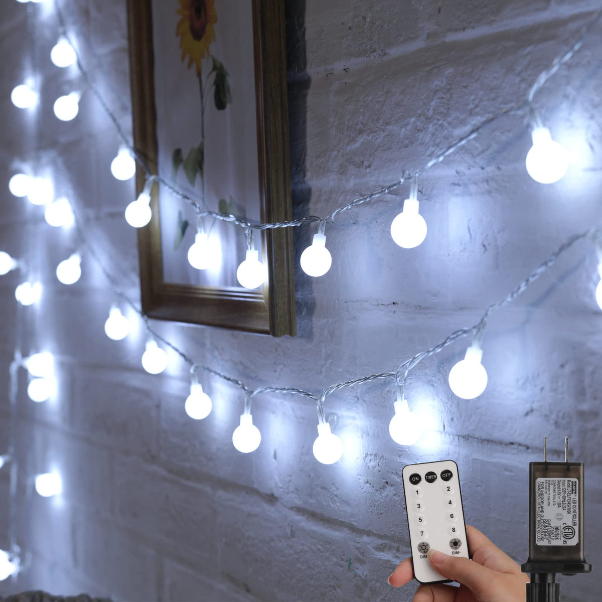 33 Feet / 100 LED / Pure White / Adapter