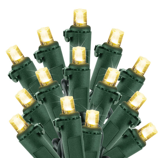 25 Feet / 100 LED / Warm White