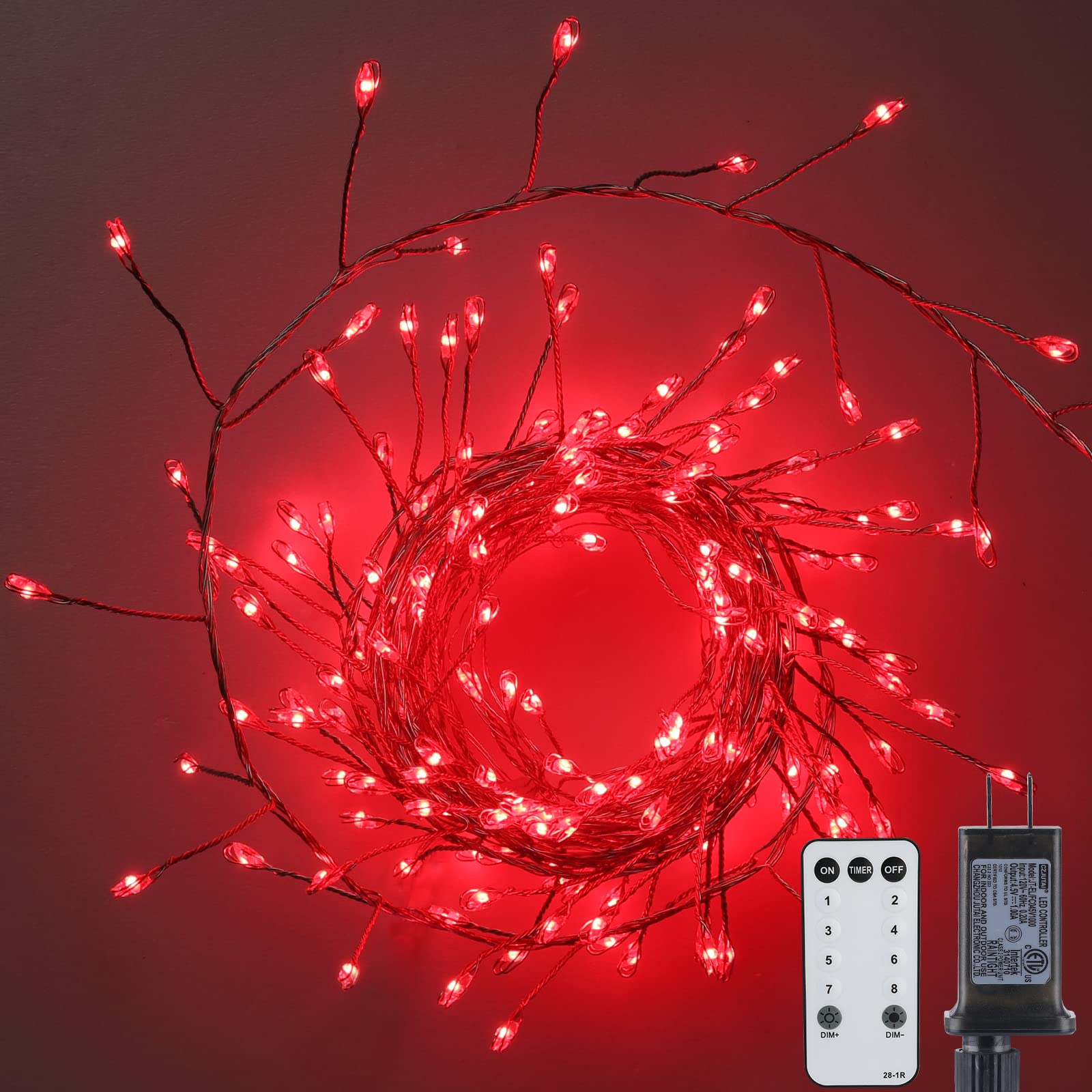 1 x 10 Feet / 200 LED / Red / Silver Wire
