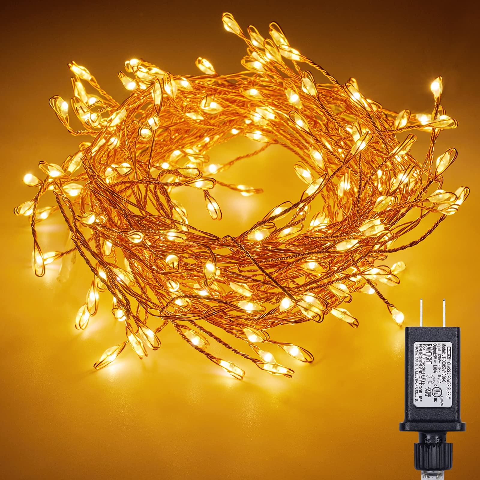 2 x 10 Feet / 200 LED / Warm White / Copper Wire