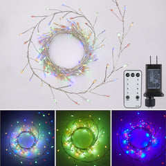 1 x 10 Feet / 200 LED / Multicolor / Silver Wire