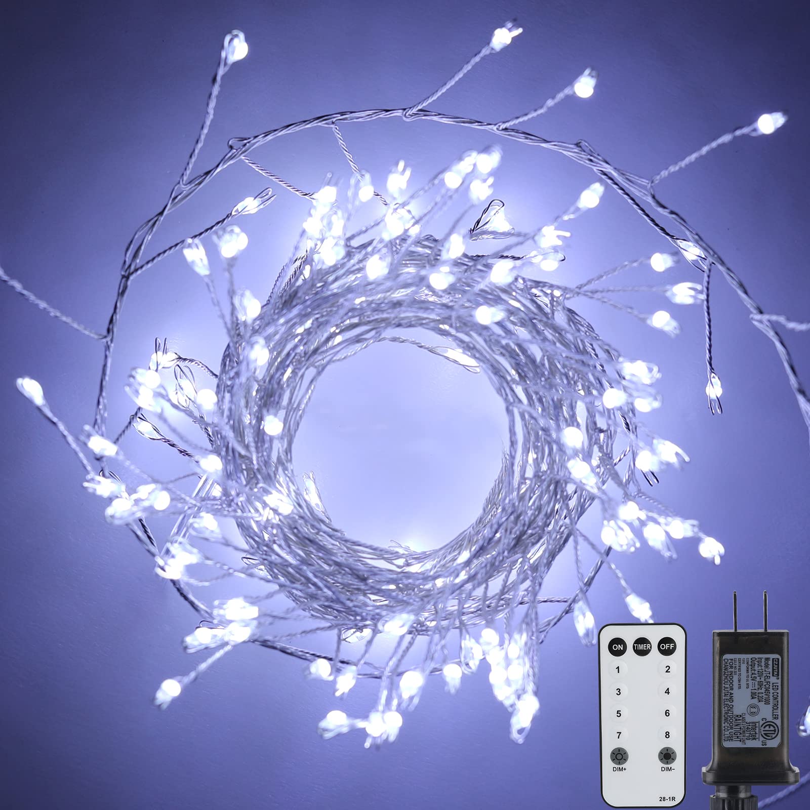1 x 10 Feet / 200 LED / Pure White / Silver Wire