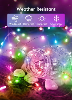 33 FT / 100 LED / Pink & Multicolor