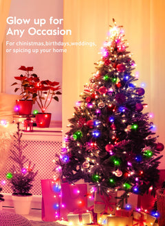 33 FT / 100 LED / Multicolor