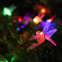 1 x 25 Feet / 30 LED / Dragonfly / Warm White