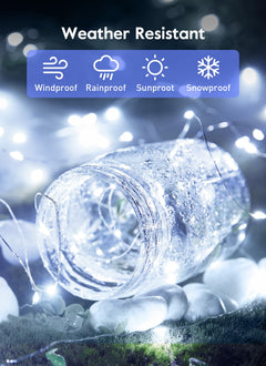 33 FT / 100 LED / Pure White