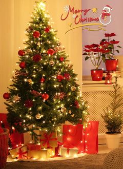 2 x 33FT / 100 LED / Warm White