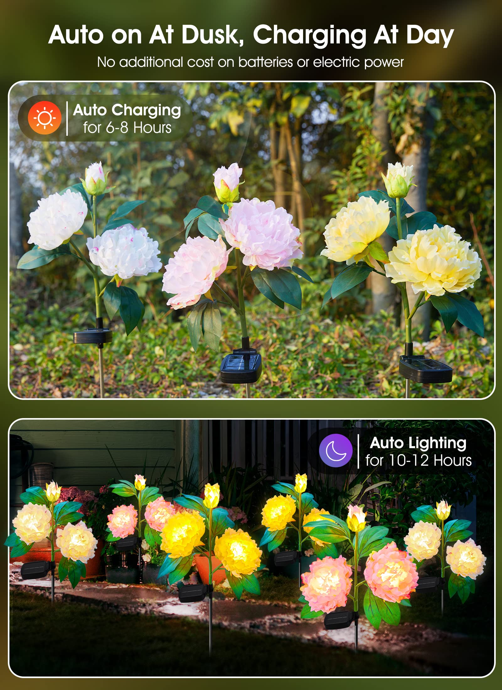 1 x 3 Pack / Peony / LED