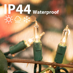 1 x 25 Feet / 100 Bulbs / Warm white