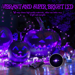 24 x 7 Feet / 20 LED / Purple