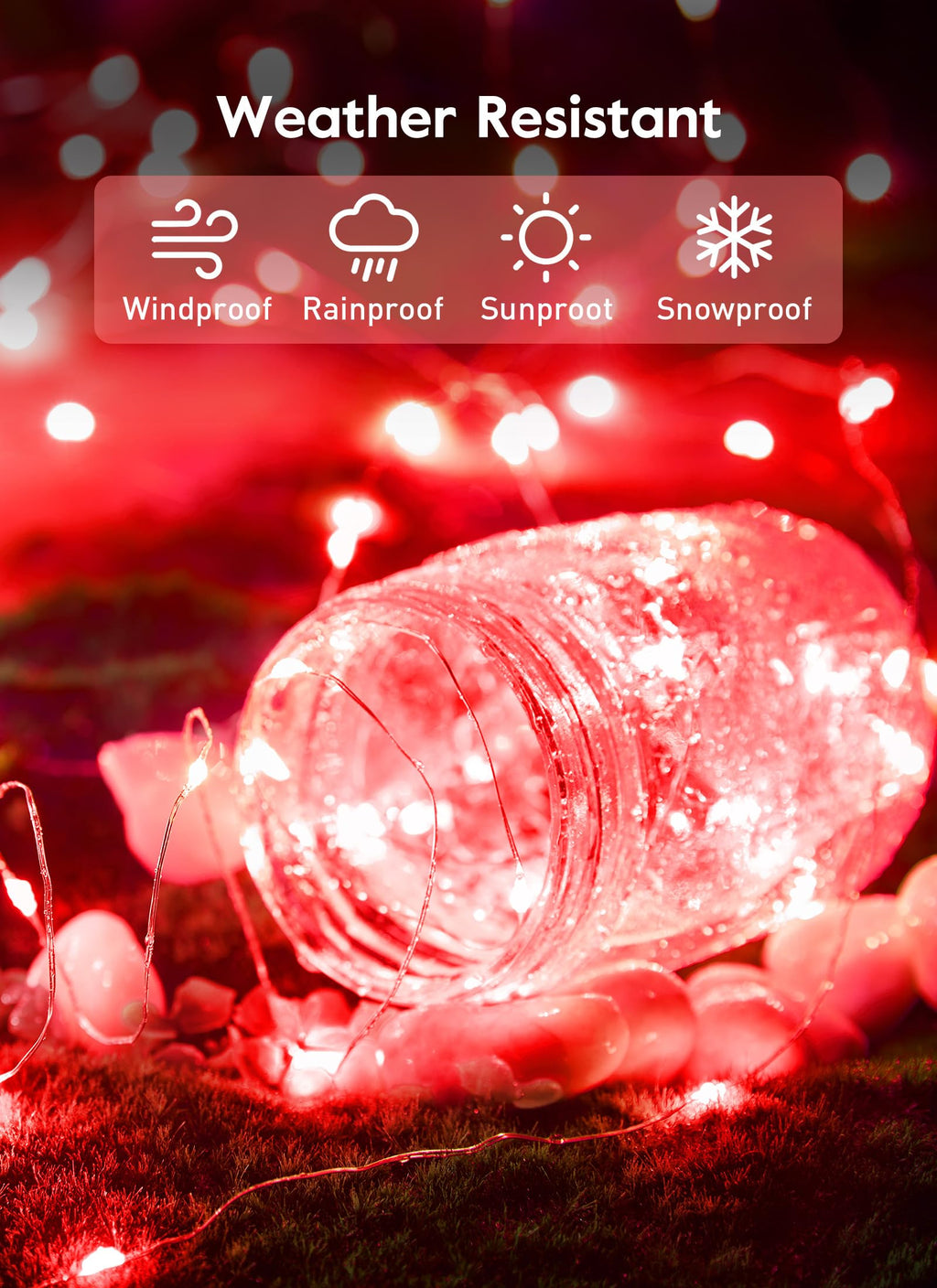 33 FT / 100 LED / Red