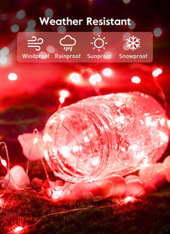 33 FT / 100 LED / Red