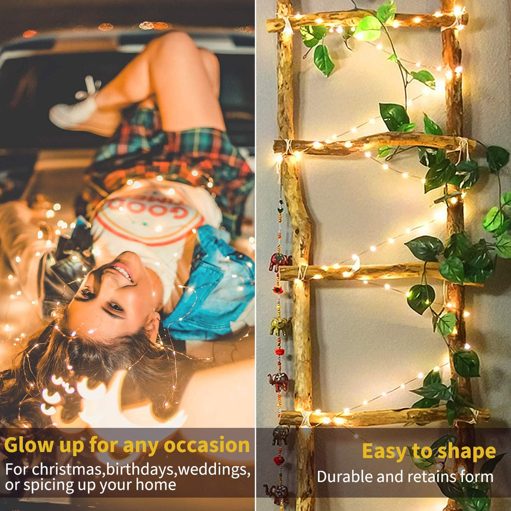 33 Feet / 100 LED / Warm White