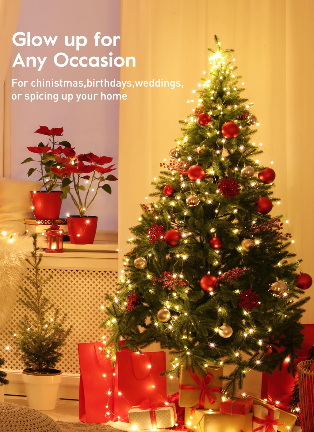 33 FT / 100 LED / Warm White