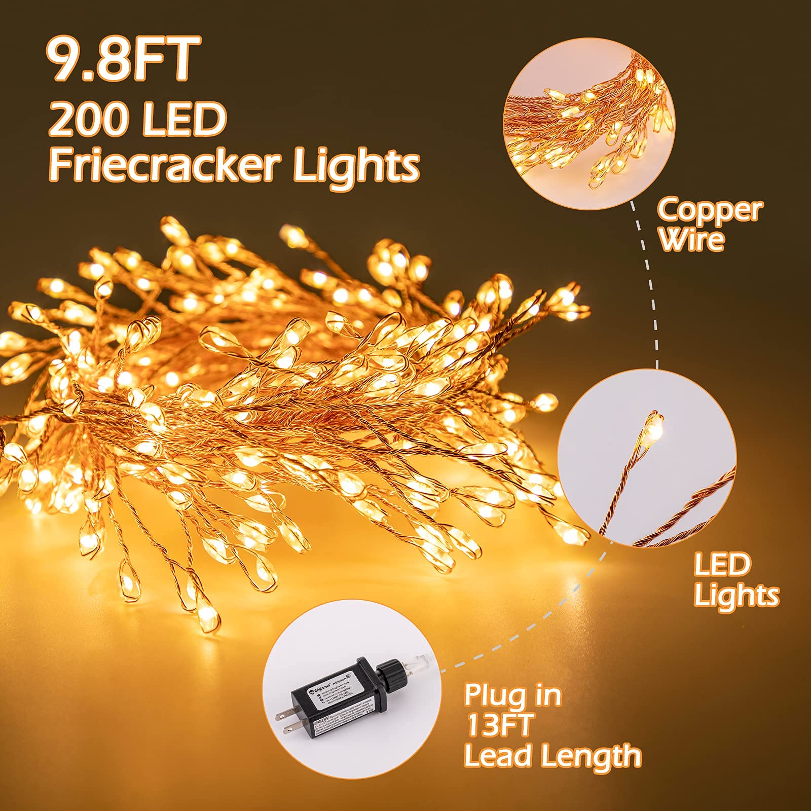 1 x 10 Feet / 200 LED / Warm White / Copper Wire