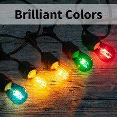 20 Count / Incandescent Bulbs / Multicolor