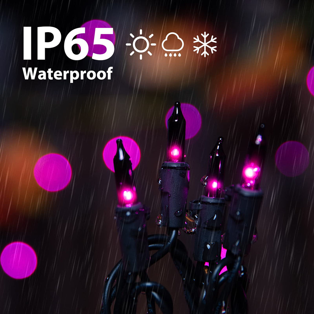 2 x 25 Feet / 100 Bulbs / Clear Purple