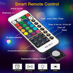 33 Feet / 100 LED / Multicolor / 13 Modes