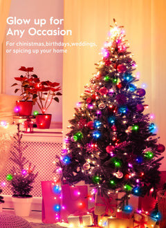 33 FT / 100 LED / Pink & Multicolor