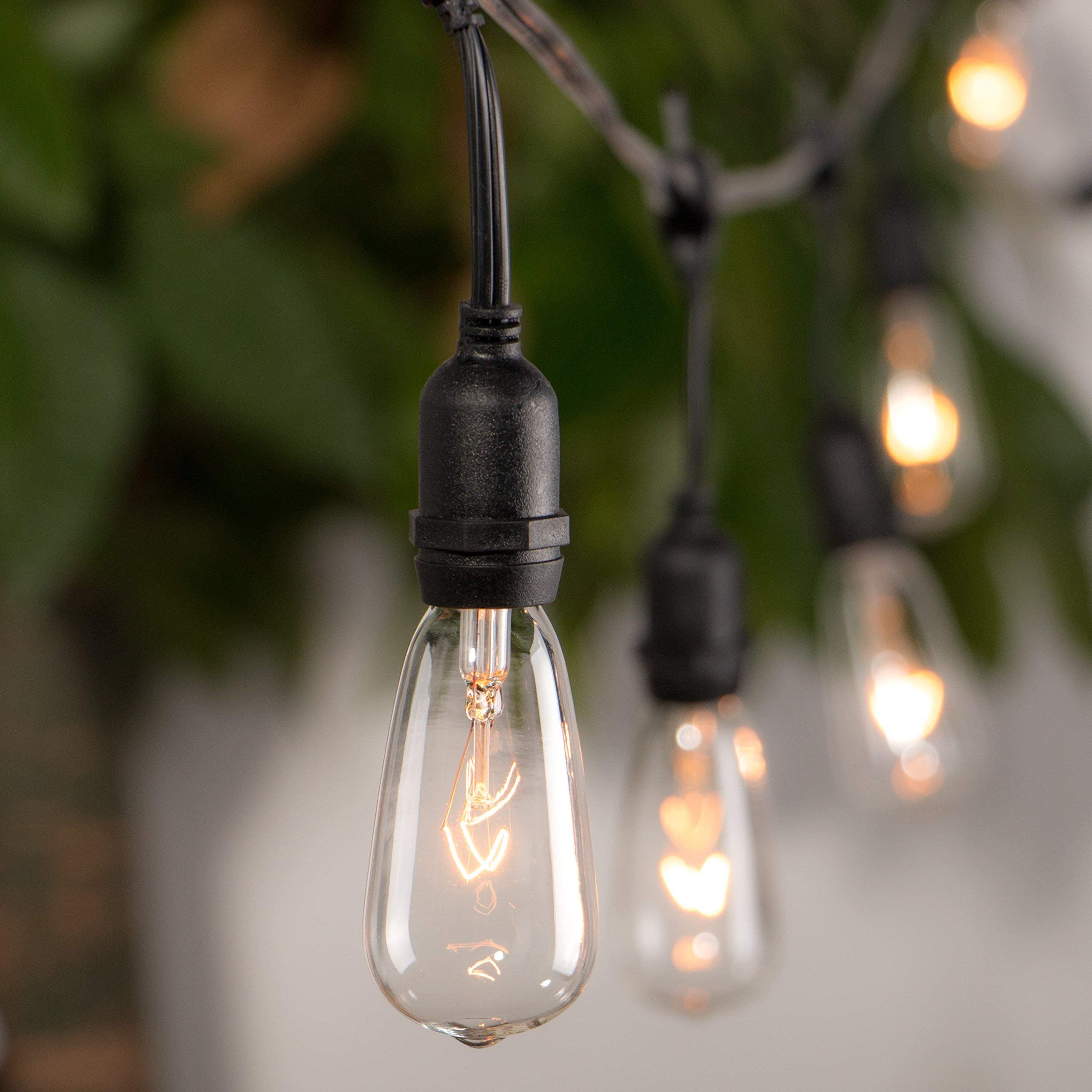 10 Count / E17 Bulbs