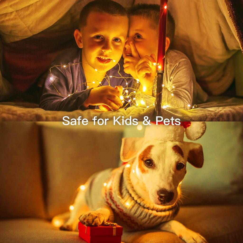 1 x 40 Feet / 120 LED / Warm White