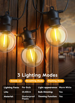 34FT / 10 LED / Warm White